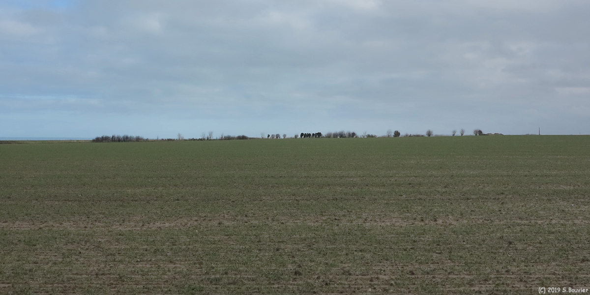 Veules les Roses (Plaine)