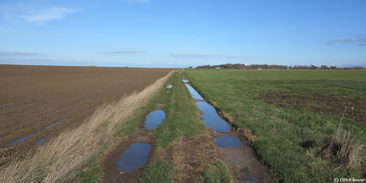 Saint Aubin sur Mer (Chemin 2)