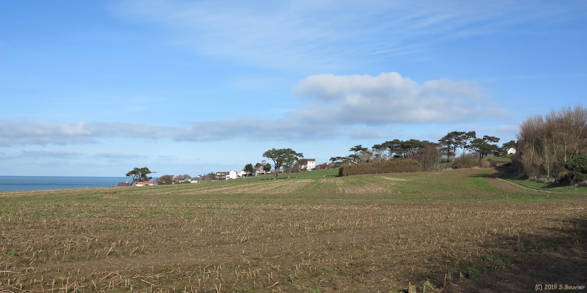 Quiberville (Pins 1)