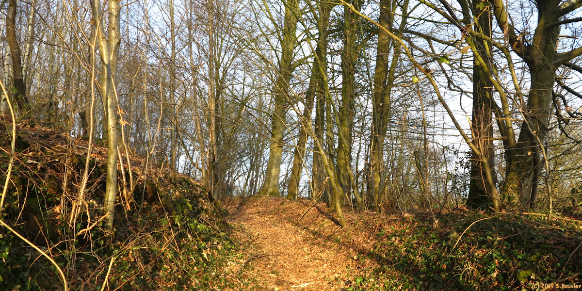 Sainte Austreberthe (Sentier)