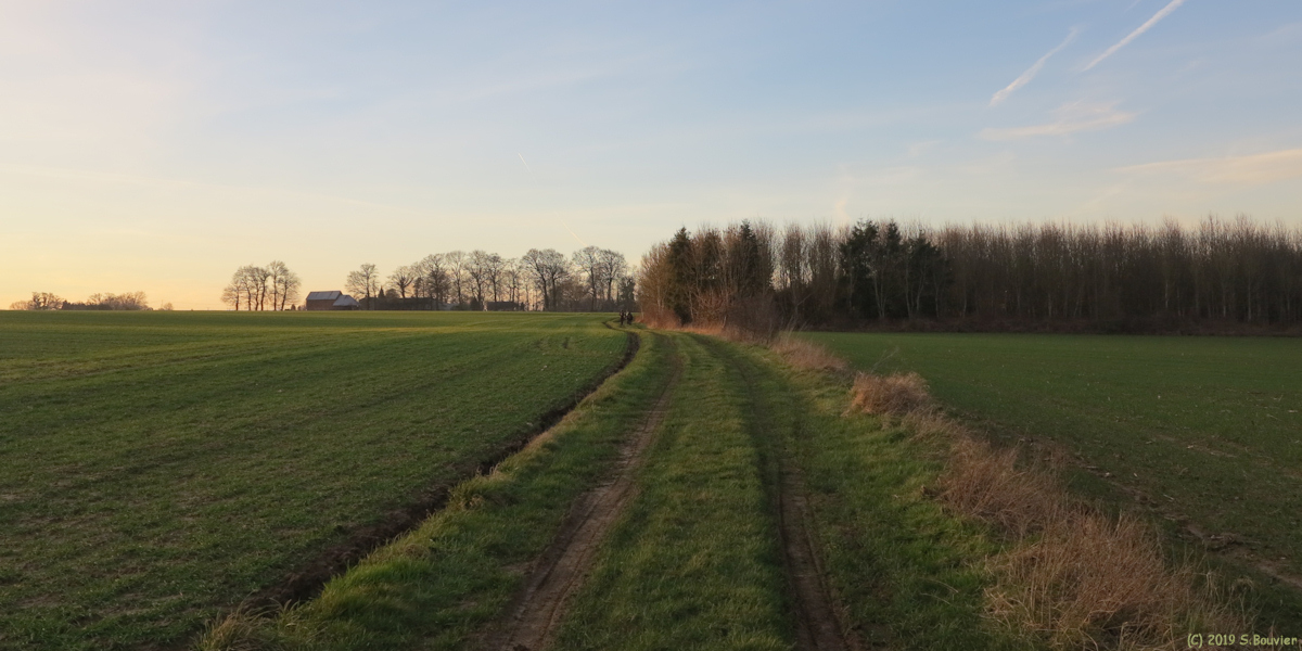 Emanville (Chemin)