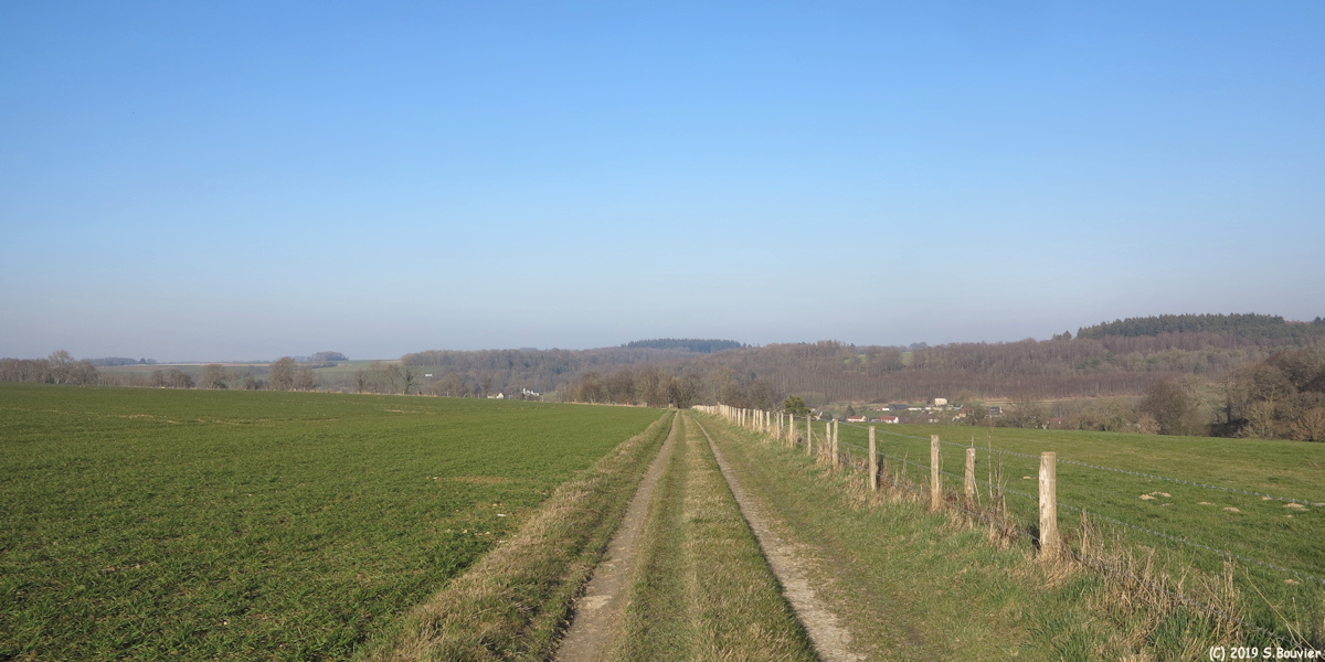 Crosville sur Scie (Chemin 2)