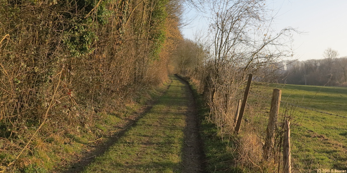 Dénestanville (Chemin)