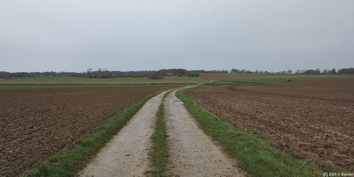 Varengeville sur Mer (Chemin)