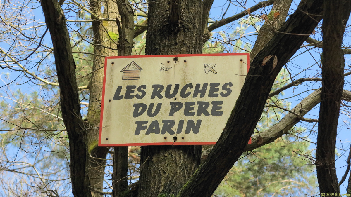 Fresquiennes (Panneau)