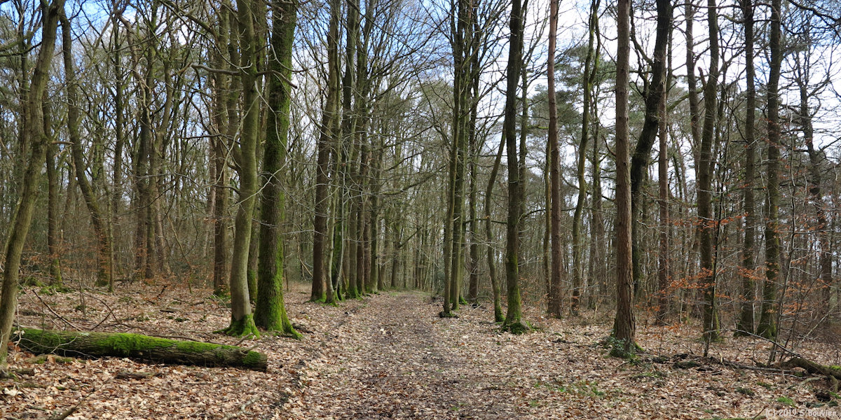 Fresquiennes (Chemin)