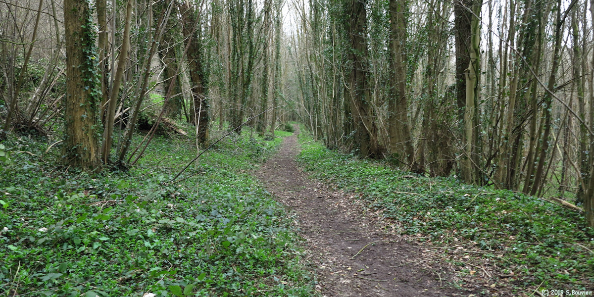 Pavilly (Sente)