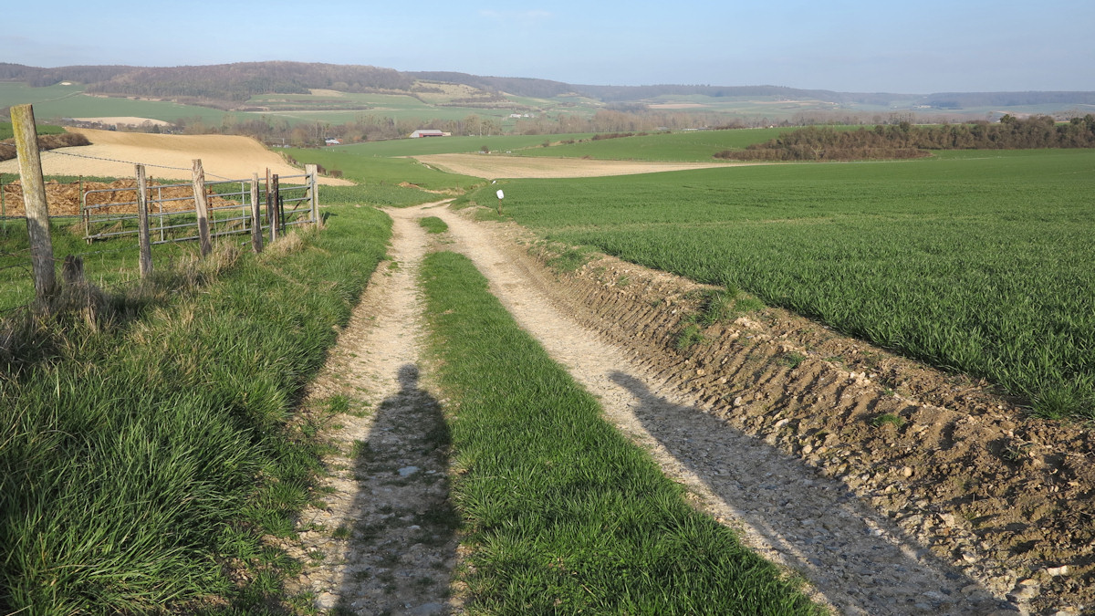 Dancourt (Ombres)