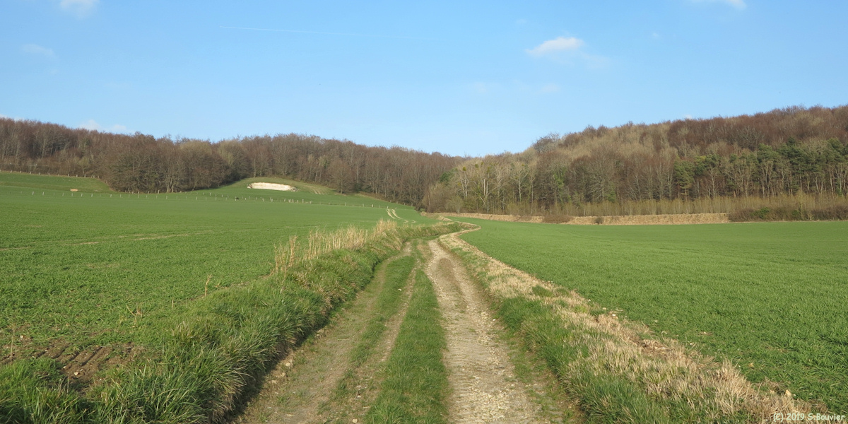 Dancourt (Chemin 3)