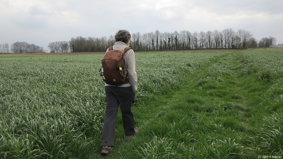 Criquetot sur Ouville (Chemin)