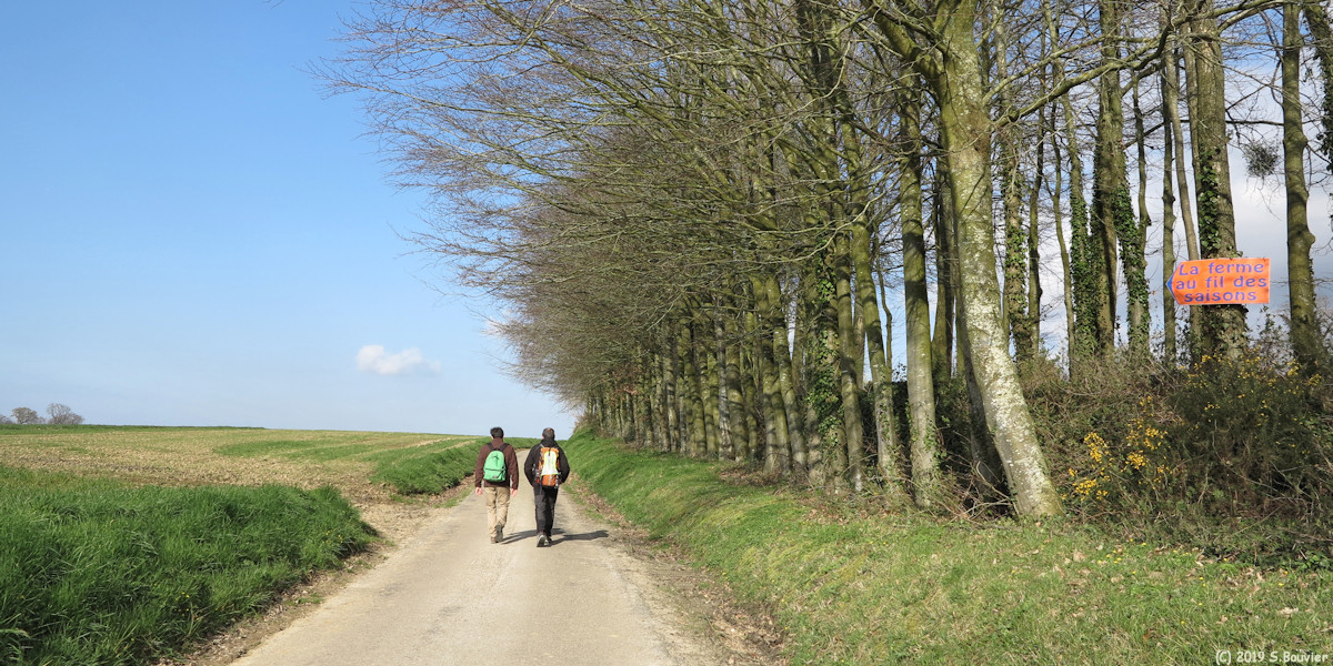 Amfreville les Champs (Route 1)