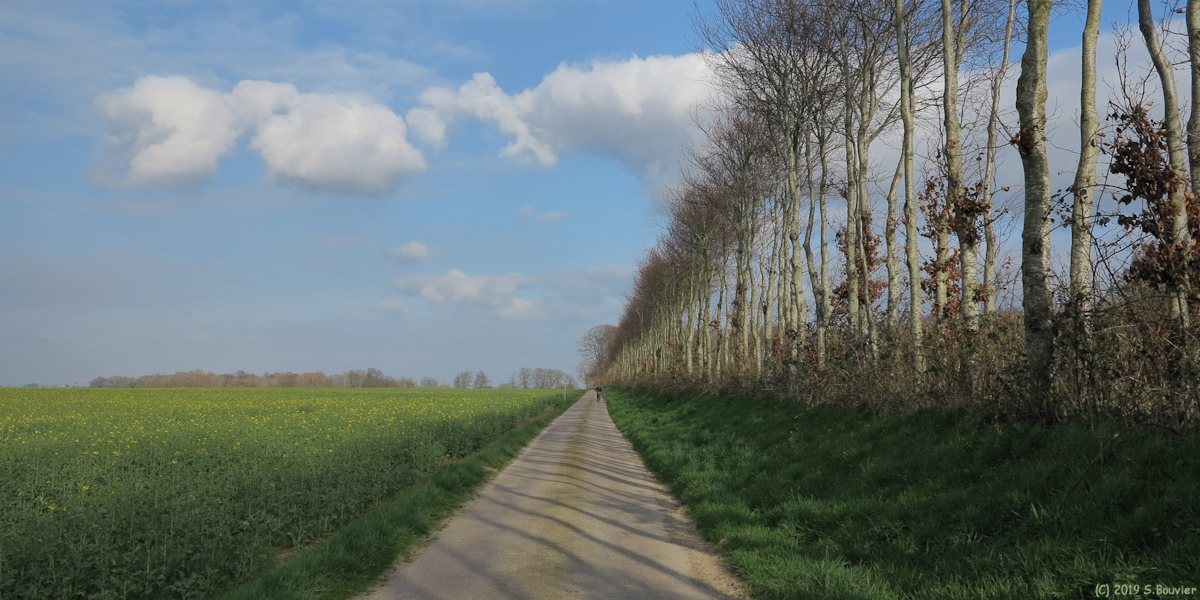 Amfreville les Champs (Route 2)