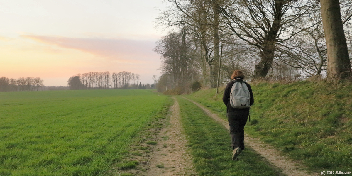 Yerville (Chemin)