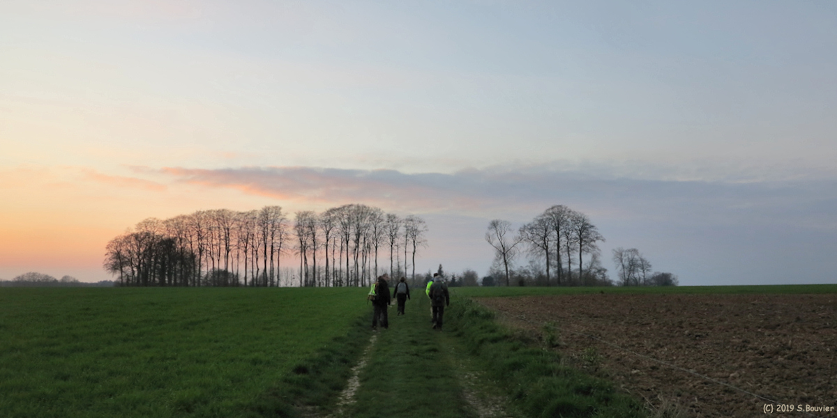 Ouville l'Abbaye (Chemin)