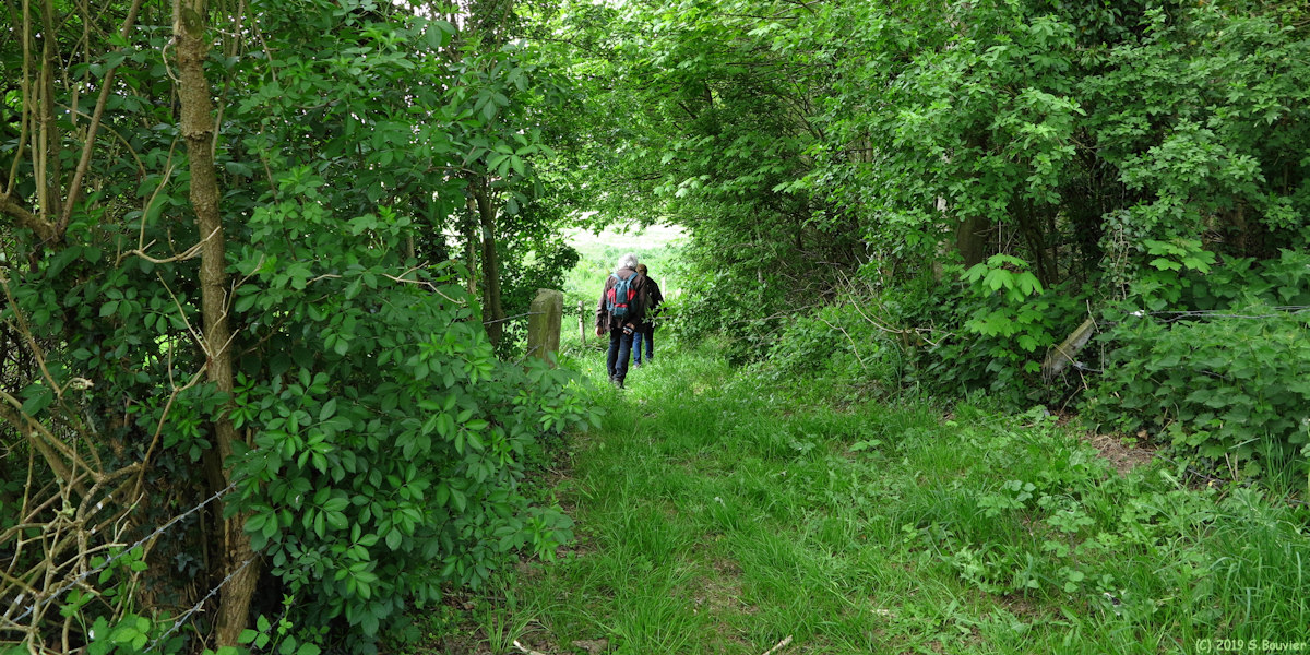 Saint Léonard (Chemin 2)