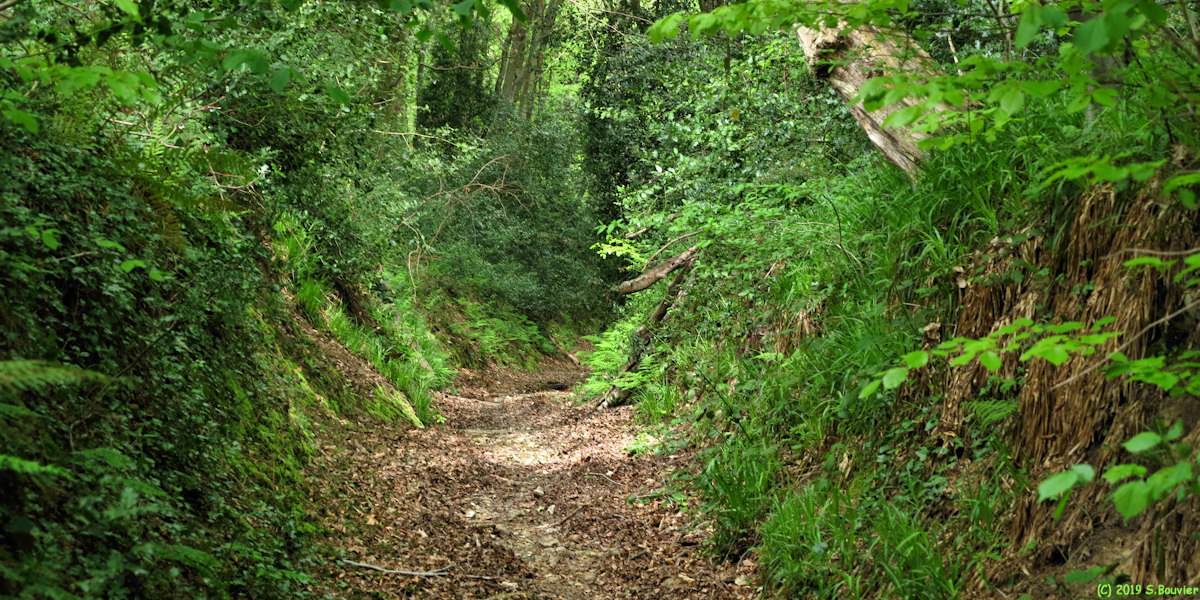 Saint Léonard (Chemin 3)
