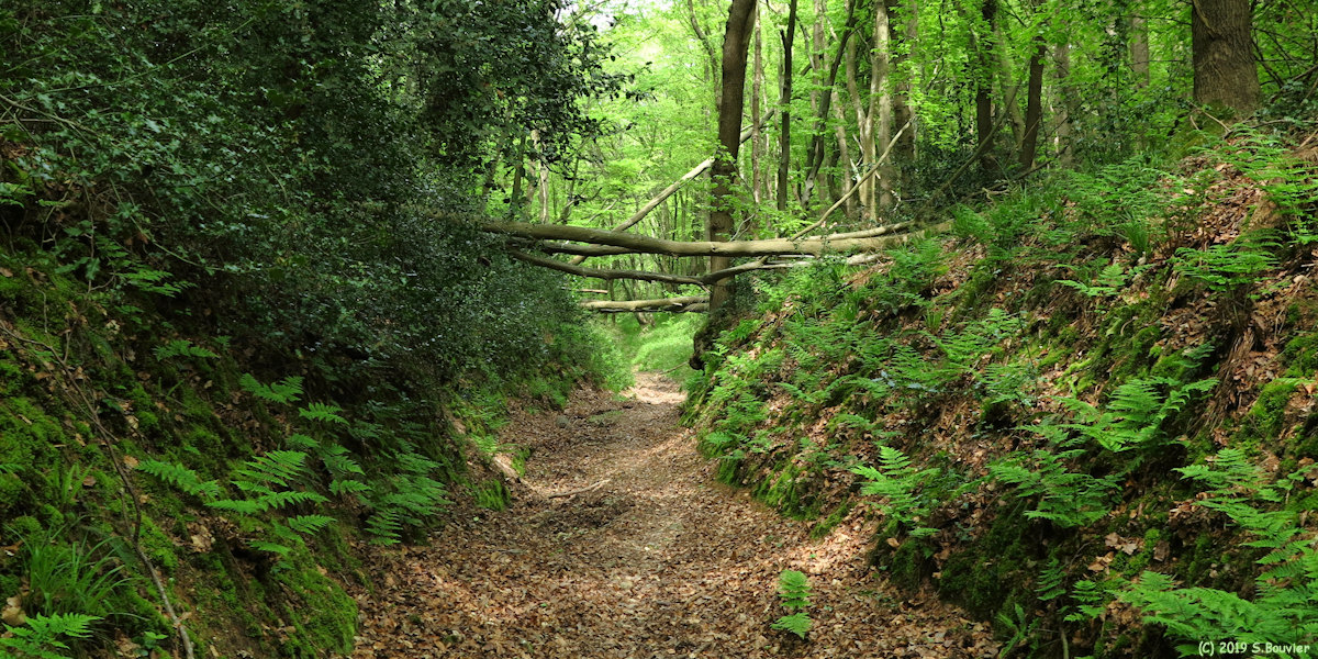 Saint Léonard (Chemin 4)