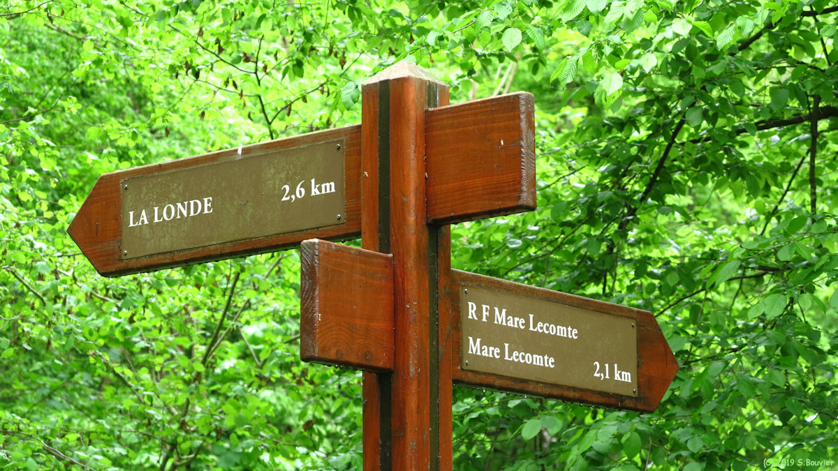 Forêt de la Londe-Rouvray (Panneaux)