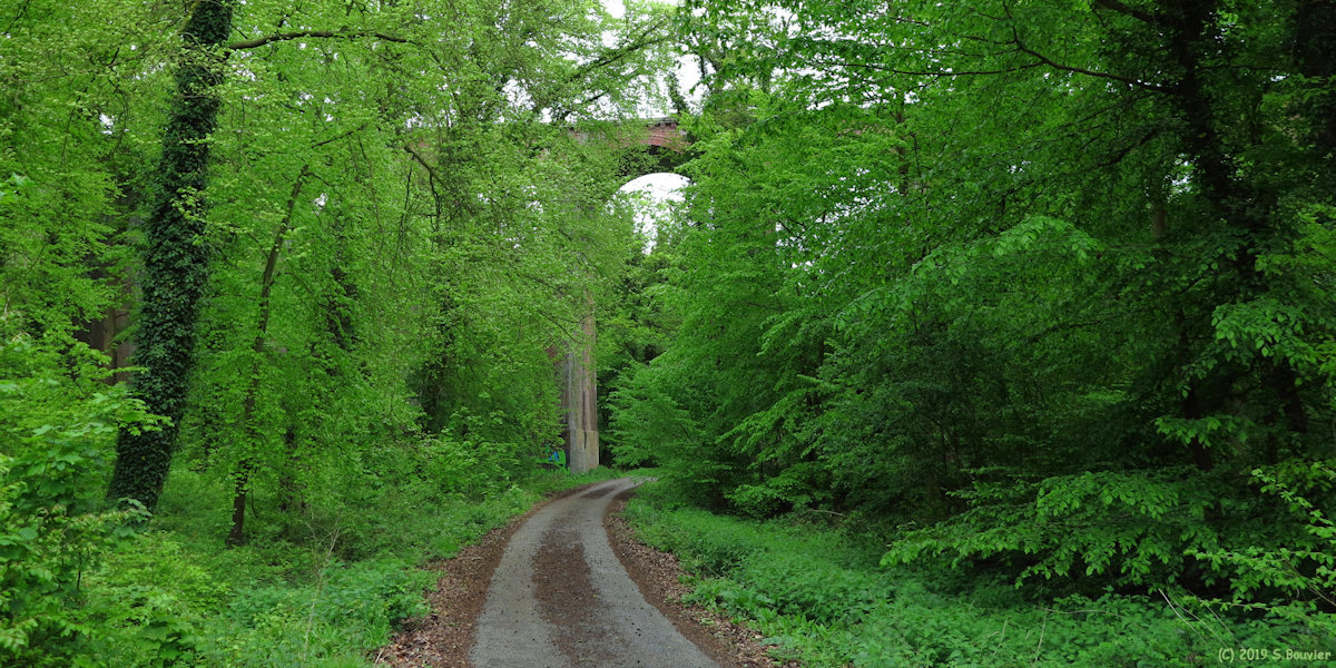 Forêt de la Londe-Rouvray (Viaduc 1)