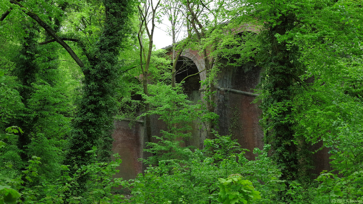 Forêt de la Londe-Rouvray (Viaduc 2)