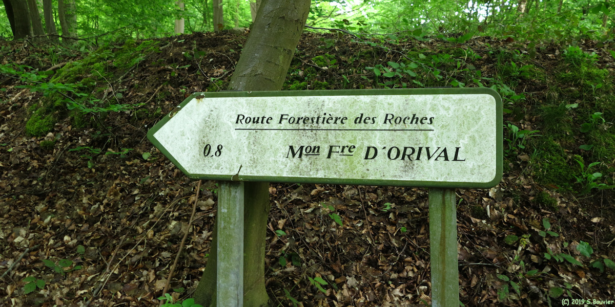 Forêt de la Londe-Rouvray (Panneau 1)