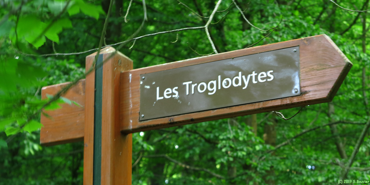 Forêt de la Londe-Rouvray (Panneau 2)
