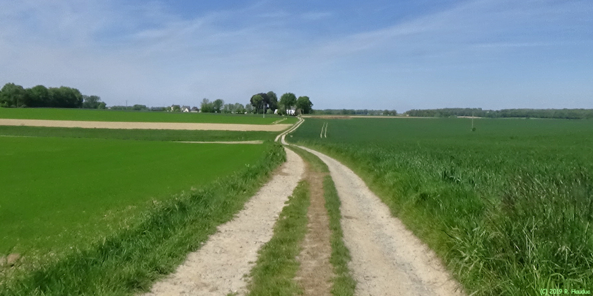 Bréauté (Chemin 2)