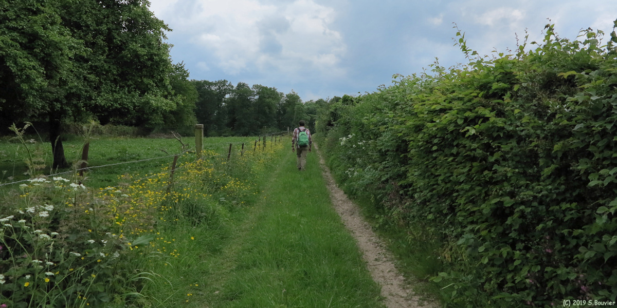 Aubéguimont (Chemin 1)