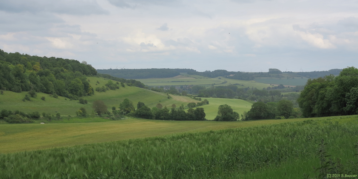 Ellecourt (Vallée 2)