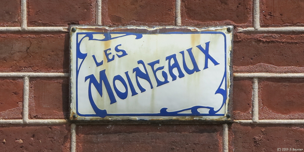 Le Tréport (Email)