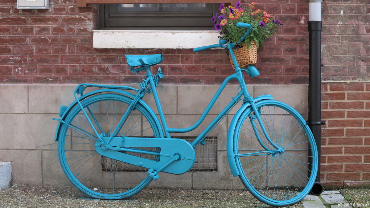 Le Tréport (Bicyclette)