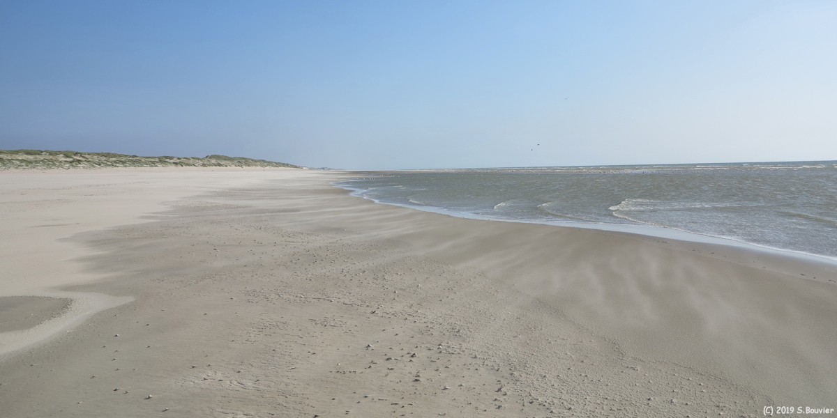 Fort Mahon Plage (Estran 1)