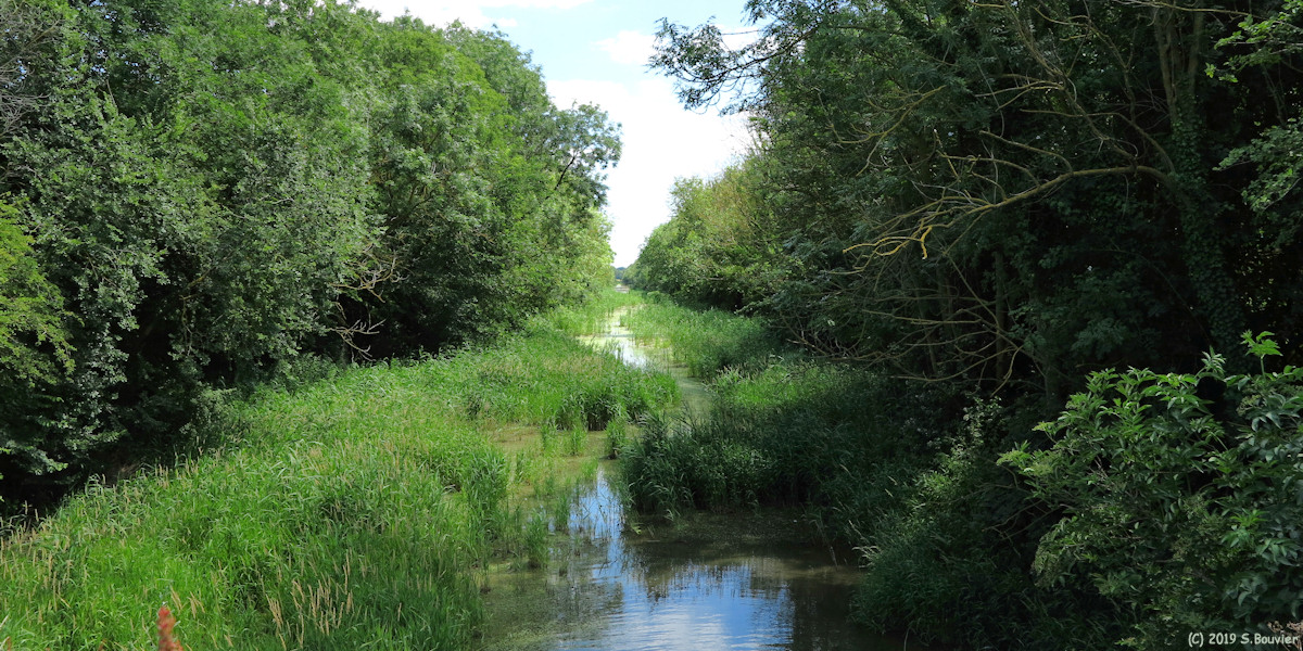 Le Tréport (Ancien Canal)