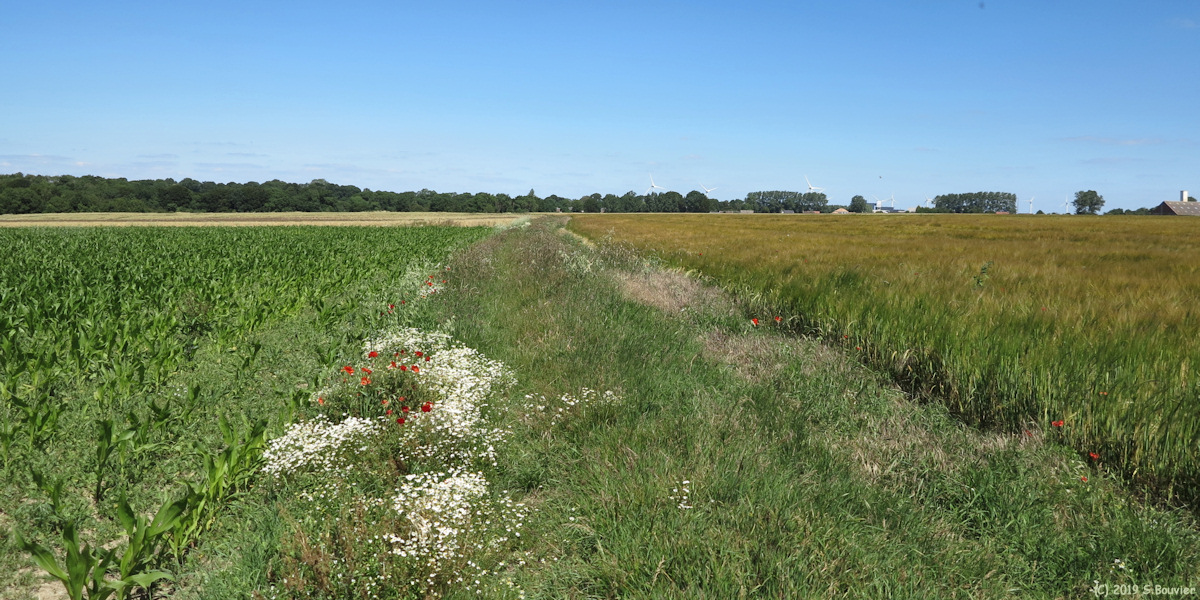 Eu (Chemin)