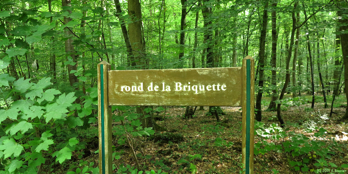 Forêt d'Arques (Panneau)