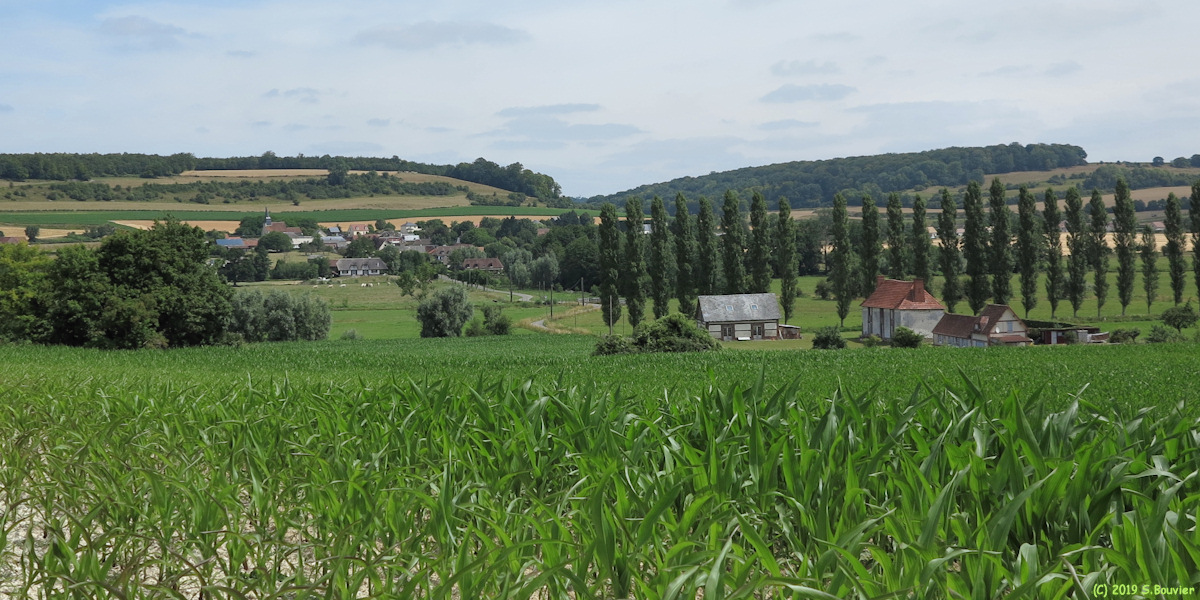 Sauchay (Vallée)