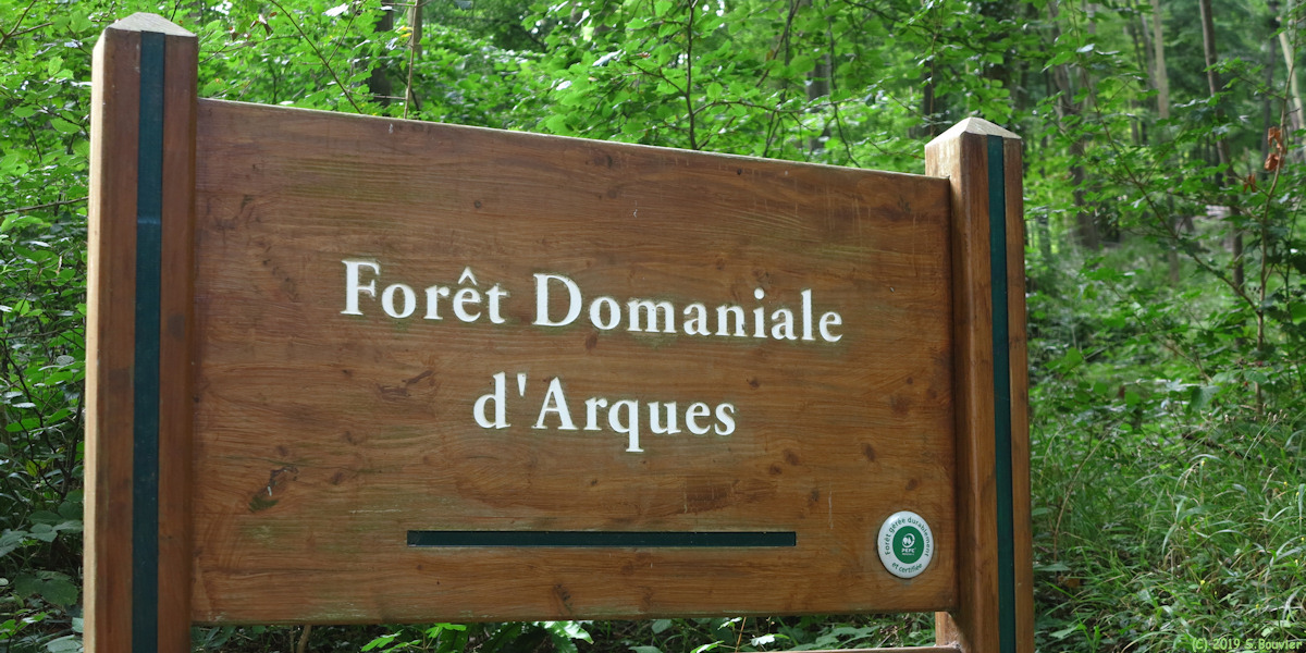 Forêt d'Arques (Panneau 1)
