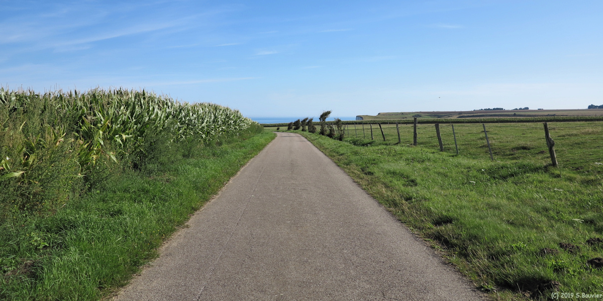 Belleville sur Mer (Route)