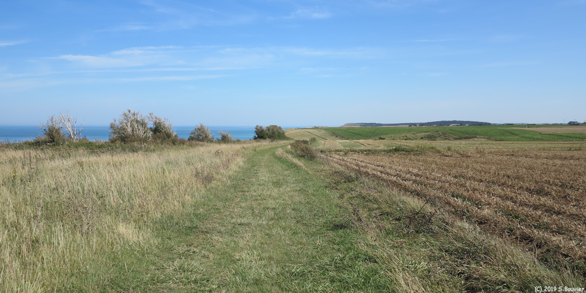 Biville sur Mer (Chemin)