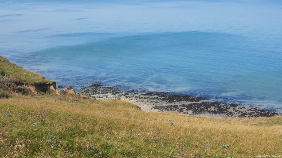 Biville sur Mer (Estran)