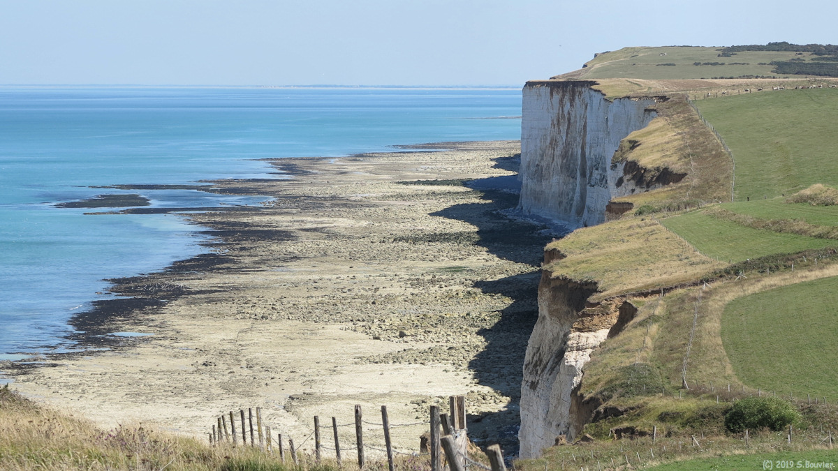 Criel sur Mer (Falaises)