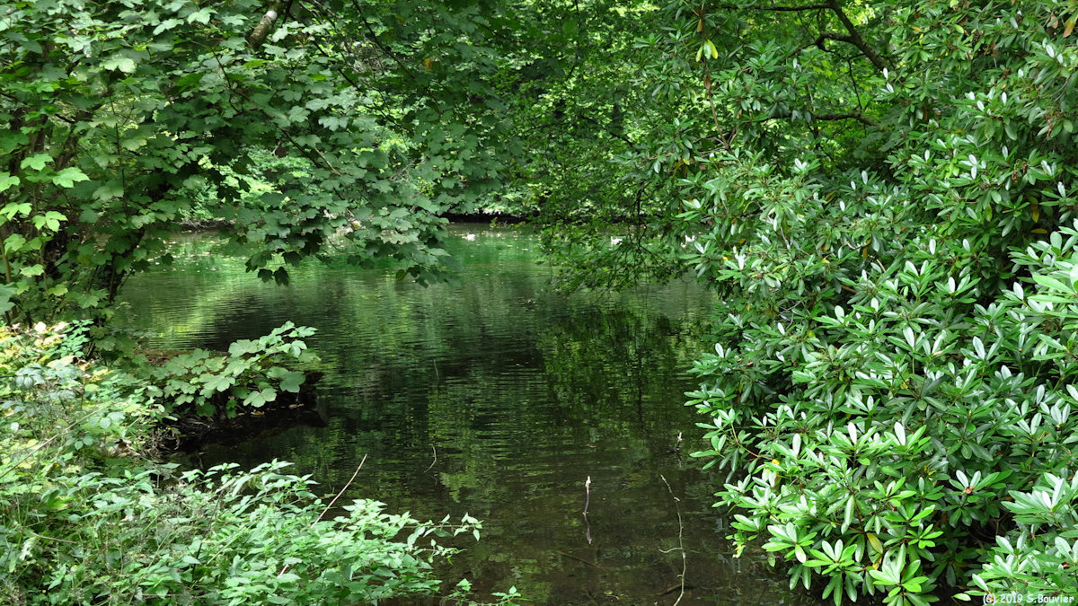 Valmont (Vivier 2)