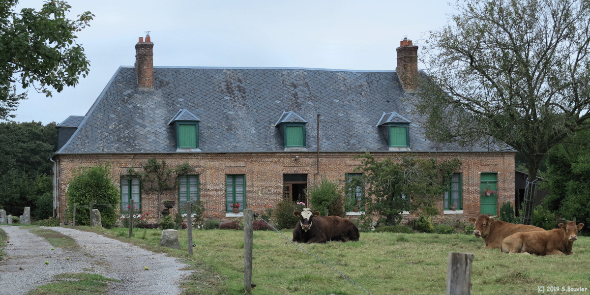 Thiétreville (Taureau)