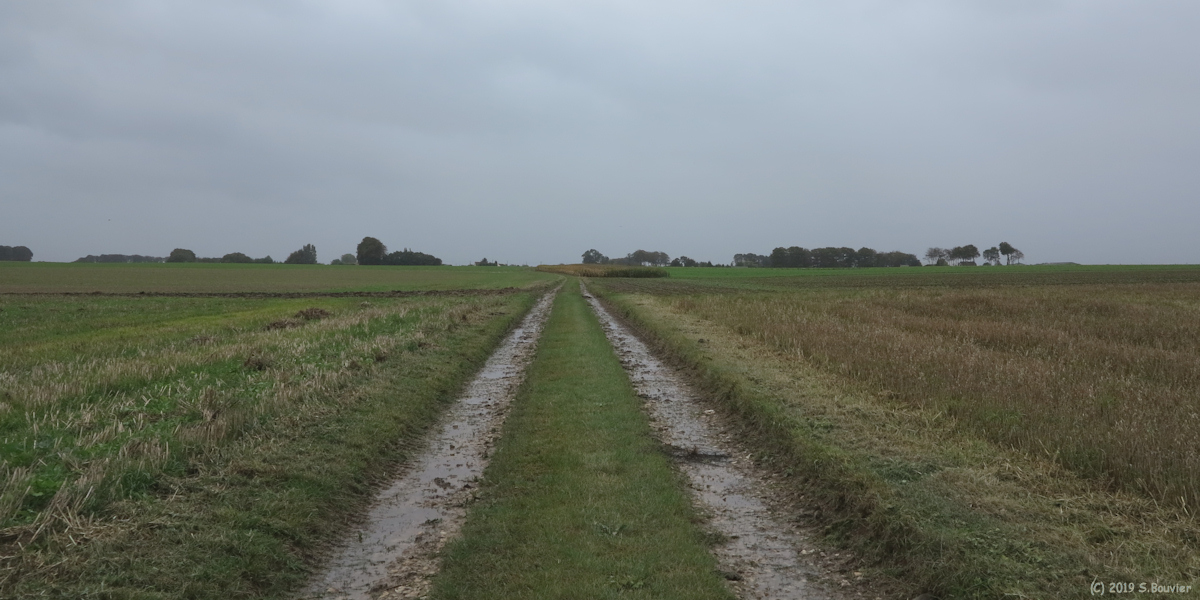 Thérouldeville (Chemin 1)