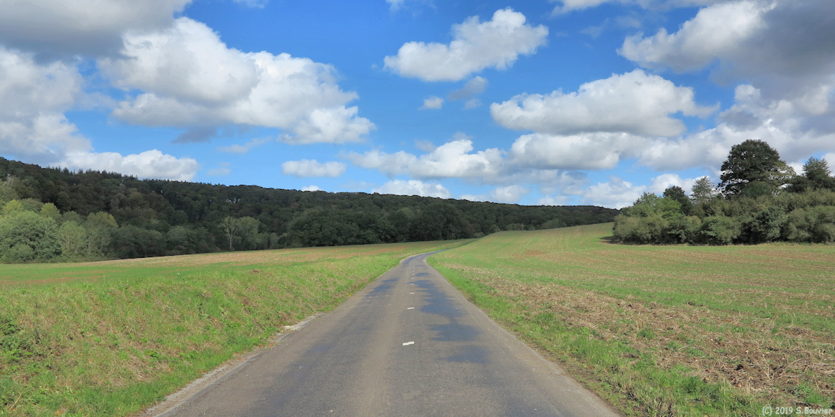 Grainville la Teinturière (D 75)