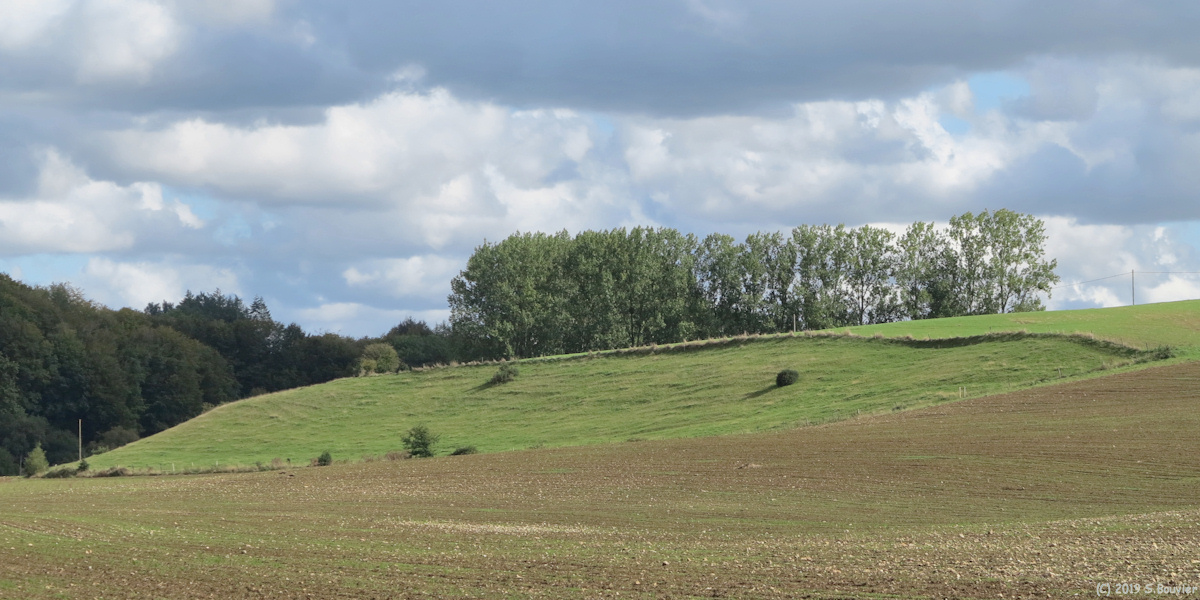 Bosville (Fond)
