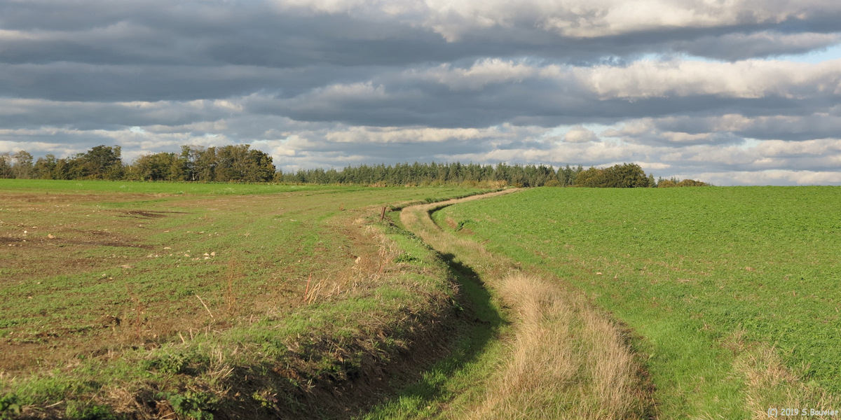 Grainville la Teinturière (Chemin)