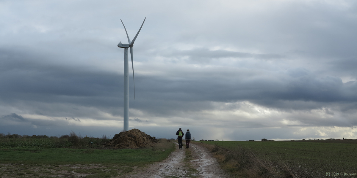 Gueures (Chemin)