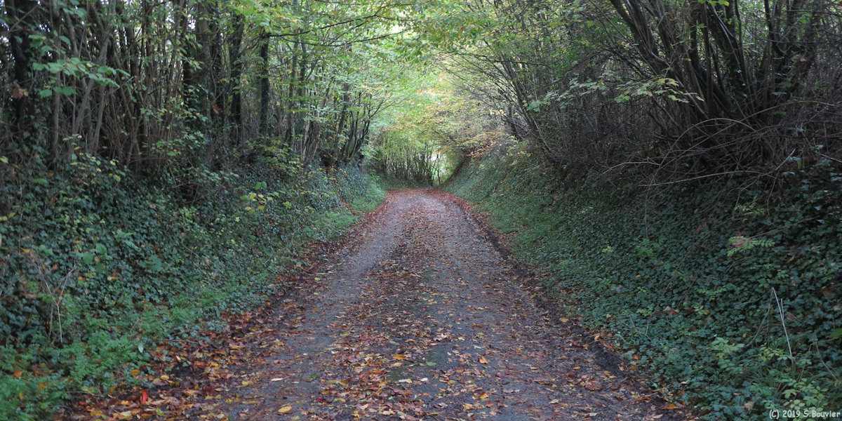 Thil-Manneville (Chemin)