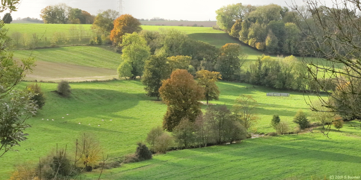 Thil-Manneville (Vallée)